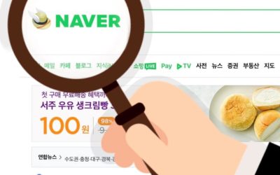 Naver et le monopole des formes de narrations numériques 